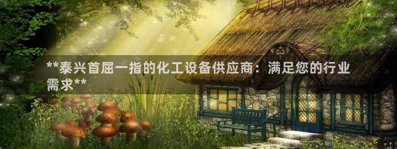 新城平台登录入口官网首页下载