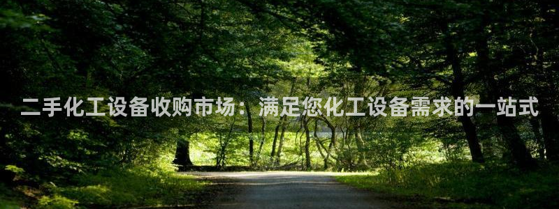 新城平台注册资金多少亿