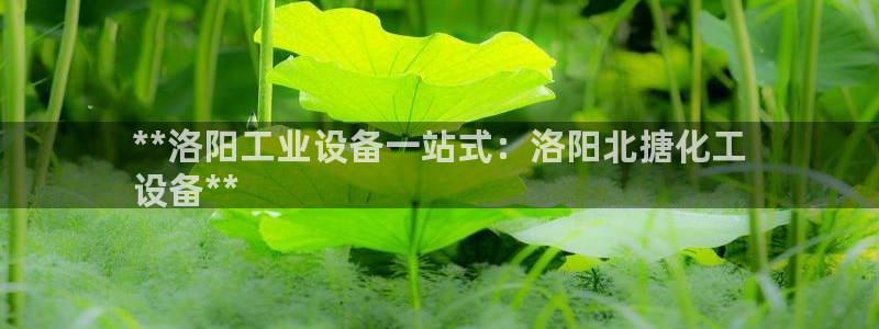 新城平台登录入口官网网址