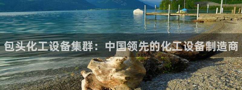新城平台公司