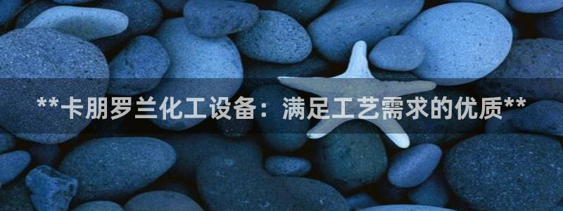 新城平台负责人是谁