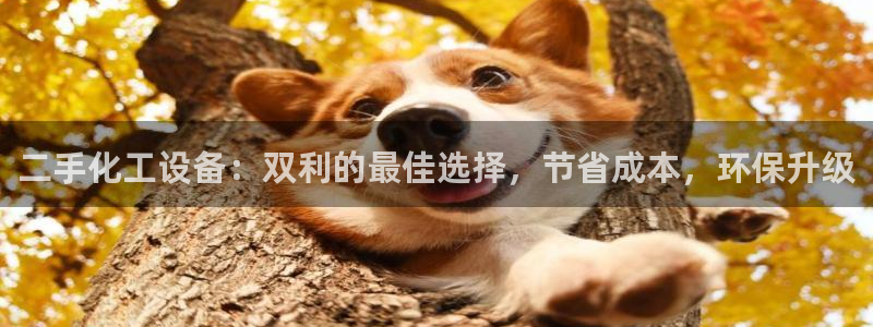 新城平台游戏