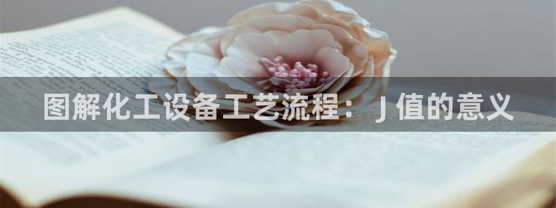 新城平台登录入口官网查询信息