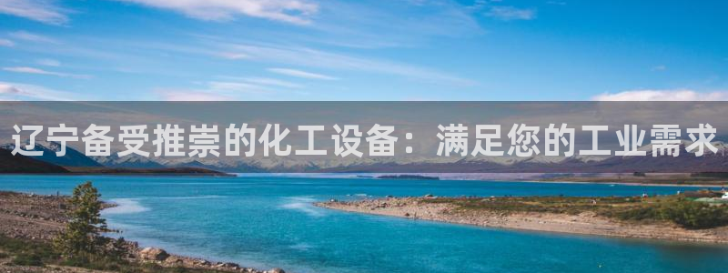 新城平台代理注册公司