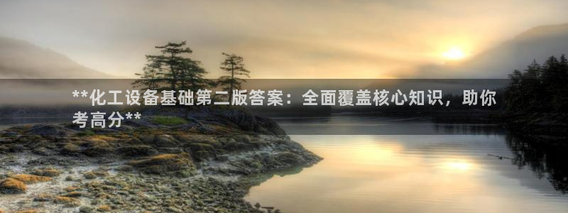 新城平台是干嘛的公司
