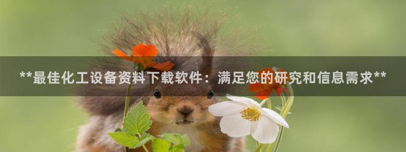 新城平台注册