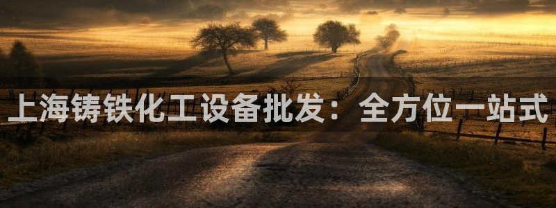 新城平台是干嘛的公司啊