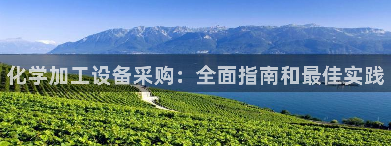 新城平台是干嘛的公司