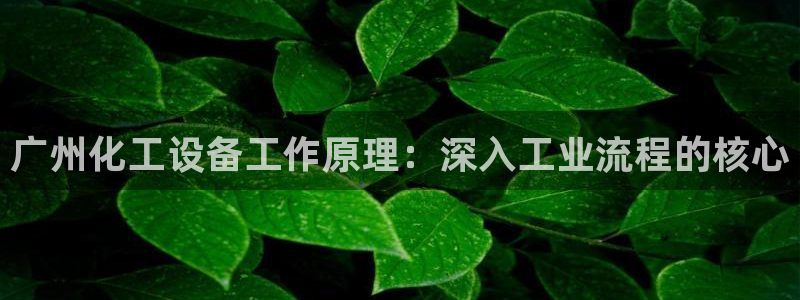 新城平台登录密码忘了怎么改