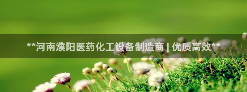 新城平台登录密码忘了