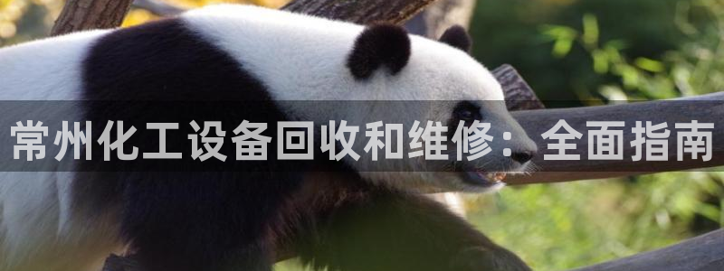 新城平台进.新城平台.稳定风险提示