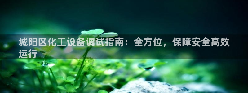 新城平台注册登录地址怎么填