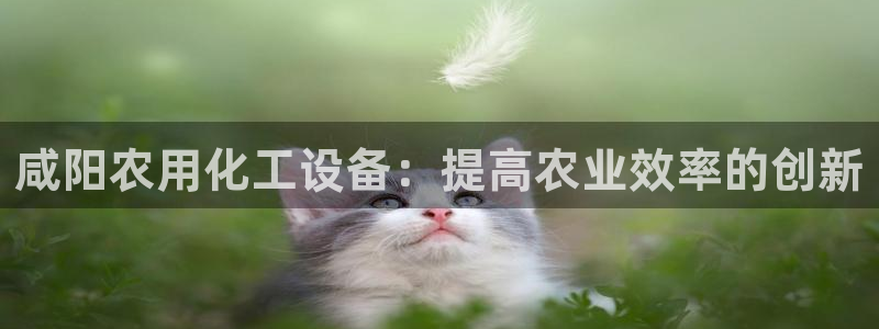 新城平台线路检测中心