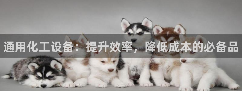 新城平台登录入口官网查询信息