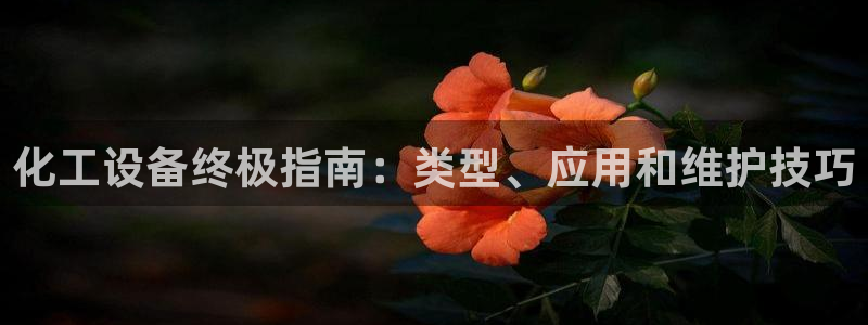 新城平台招商