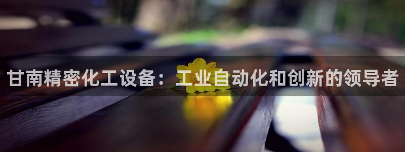 新城平台线路登录不上去怎么回事儿