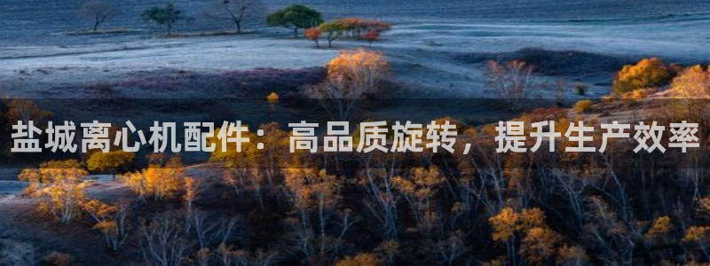 新城平台注册公司流程视频