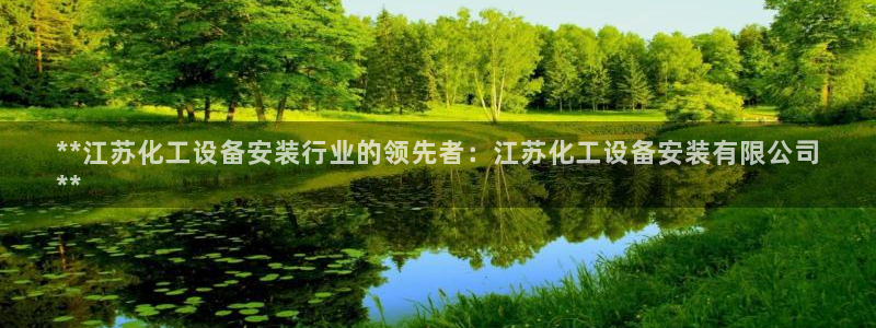 新城平台是干嘛的公司