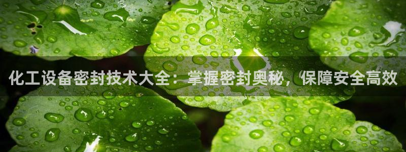 新城平台登陆