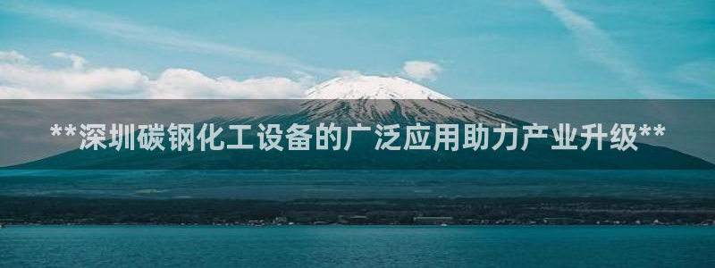 新城平台登录入口官网首页查询
