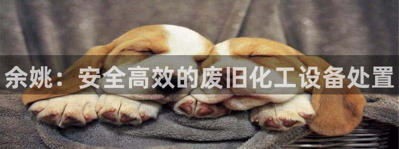 新城平台分分彩