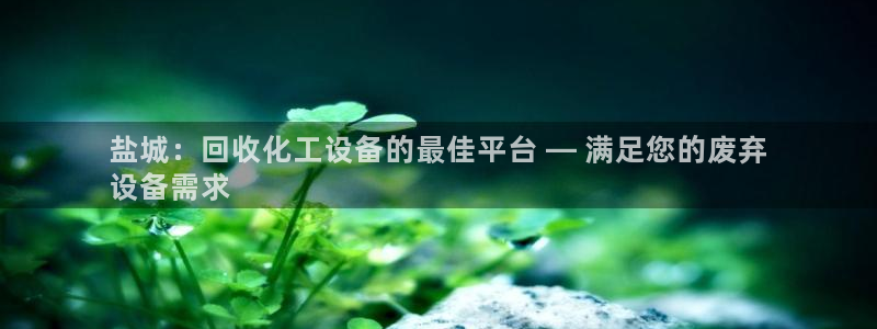 新城平台代理