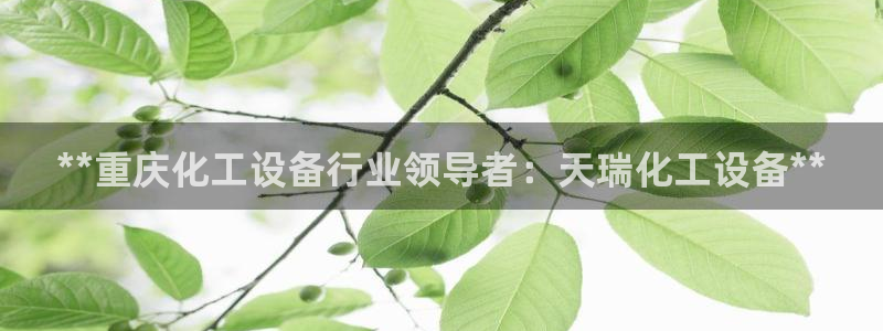 新城平台注册公司流程视频