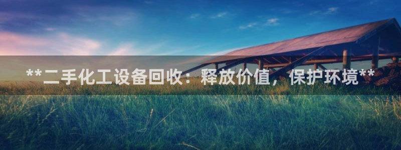 新城平台是干嘛的公司