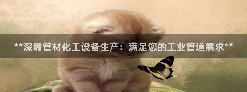 新城平台注册流程视频