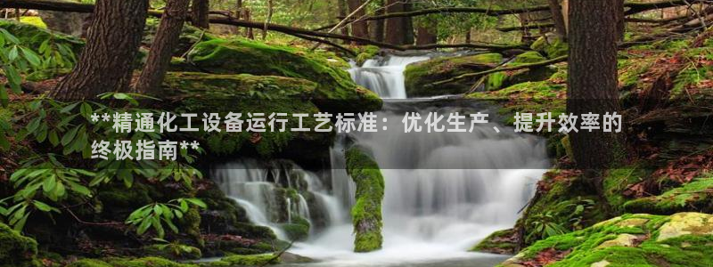 新城平台是干嘛的公司啊