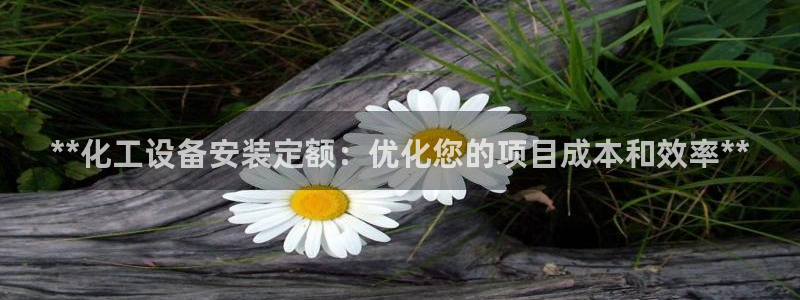 新城平台注册资金多少钱