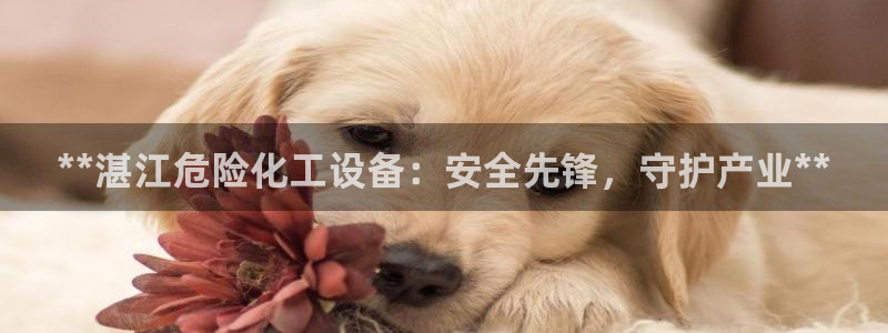 新城平台登录入口官网首页查询