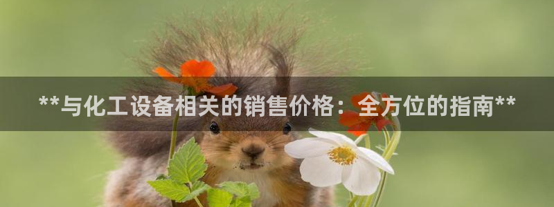 新城平台入.新城平台.全国联网是什么意思