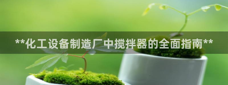 新城平台公司