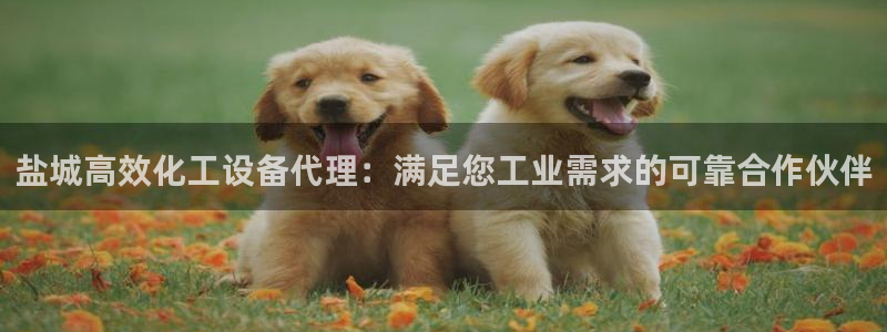 新城平台登录入口官网网址是多少