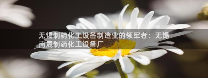 新城平台注册登录地址在哪