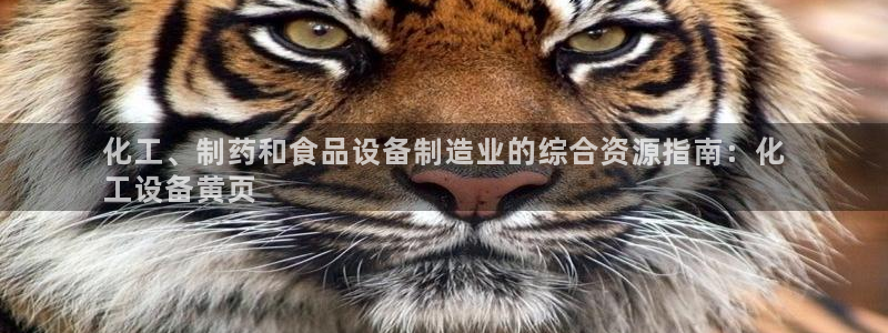 新城平台线路登录不上去怎么办