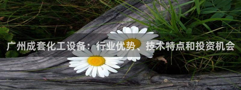 新城平台登录入口官网下载手机版