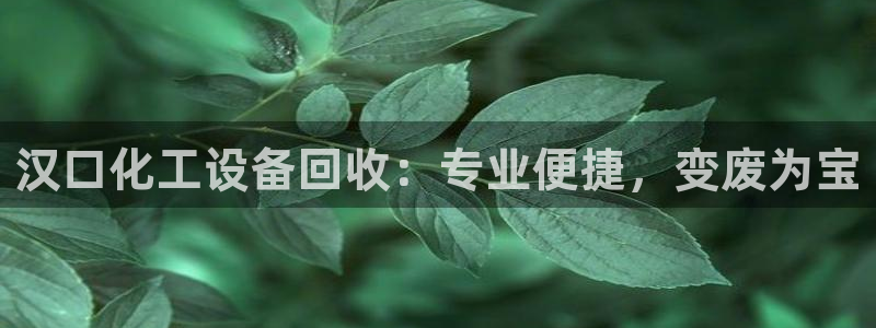 新城平台负责人是谁