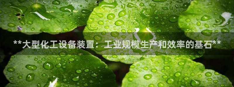 新城平台注册网址是什么