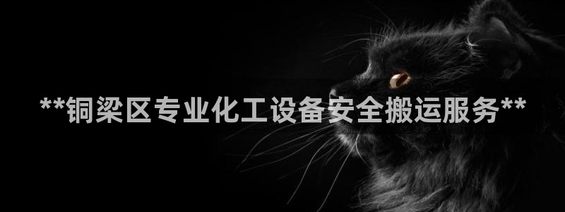 新城平台主管