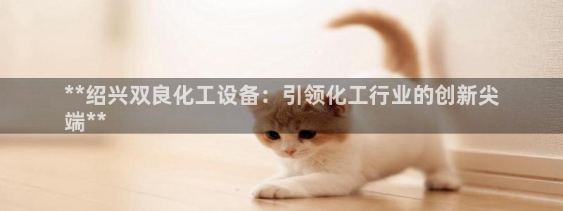 新城平台怎么样