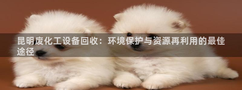 新城平台官网注册流程