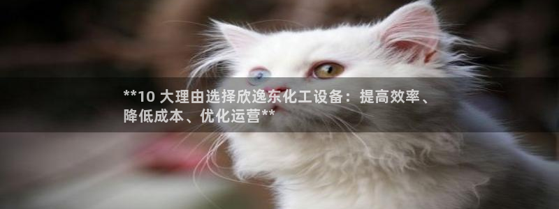 新城平台怎么样