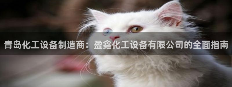 新城平台主管
