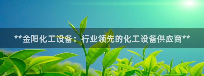 新城平台登录入口网址