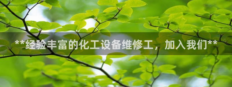 新城平台登录入口官网网址是什么