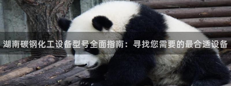 新城平台负责人