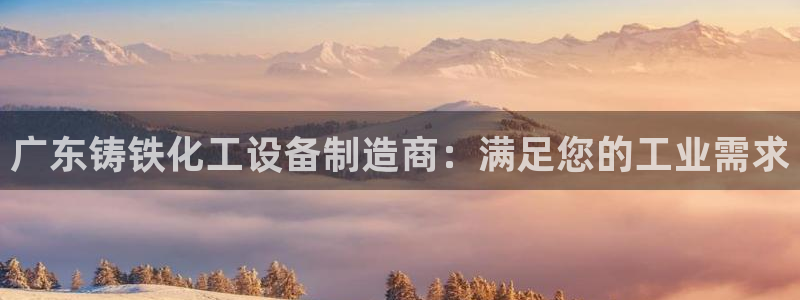 新城平台是干嘛的公司