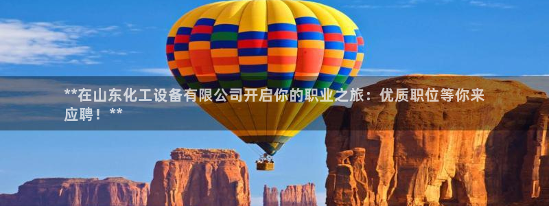 新城平台登录入口官网查询系统